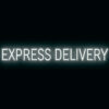 "EXPRESS DELIVERY" LED Sign
