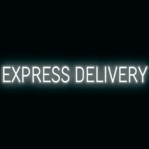 "EXPRESS DELIVERY" LED Sign